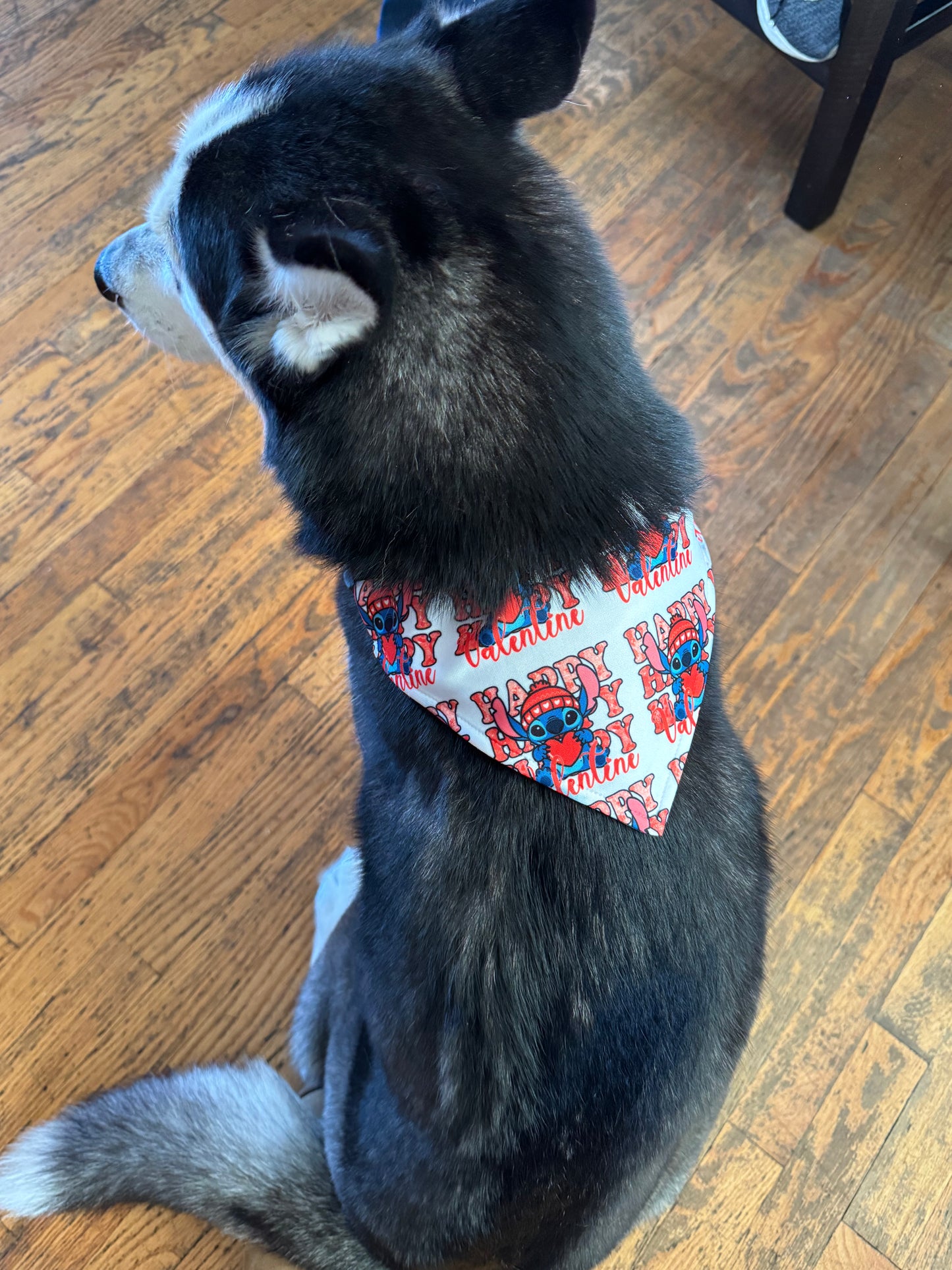 Custom Pet Bandana
